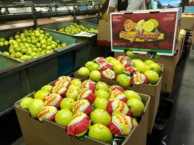 Equipo ANFAMI en el campo