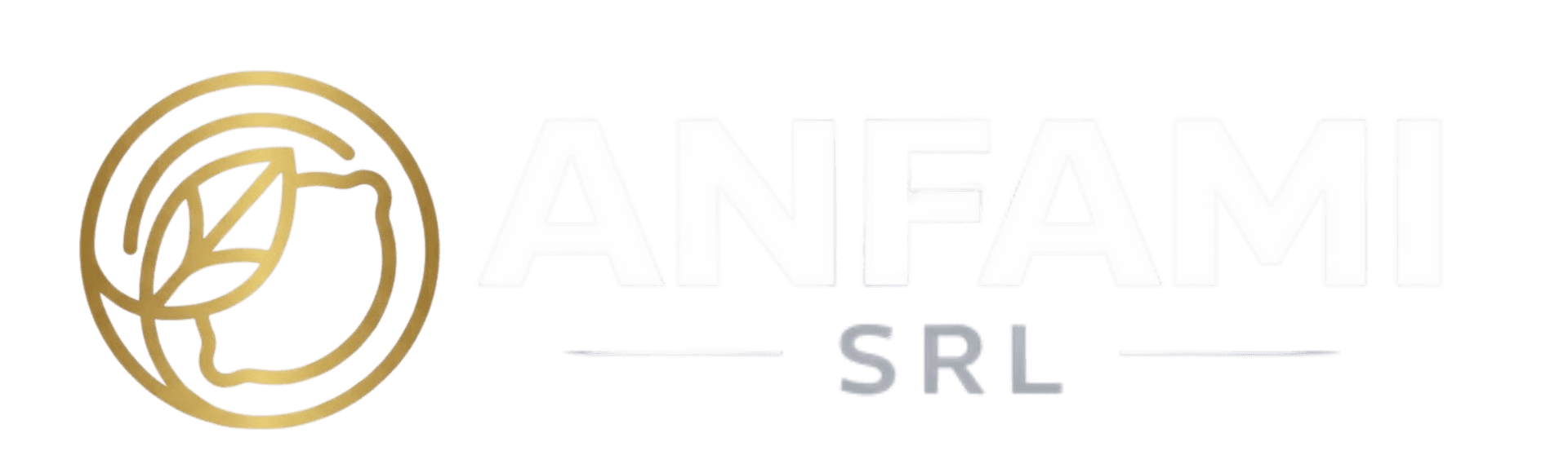 ANFAMI SRL Logo