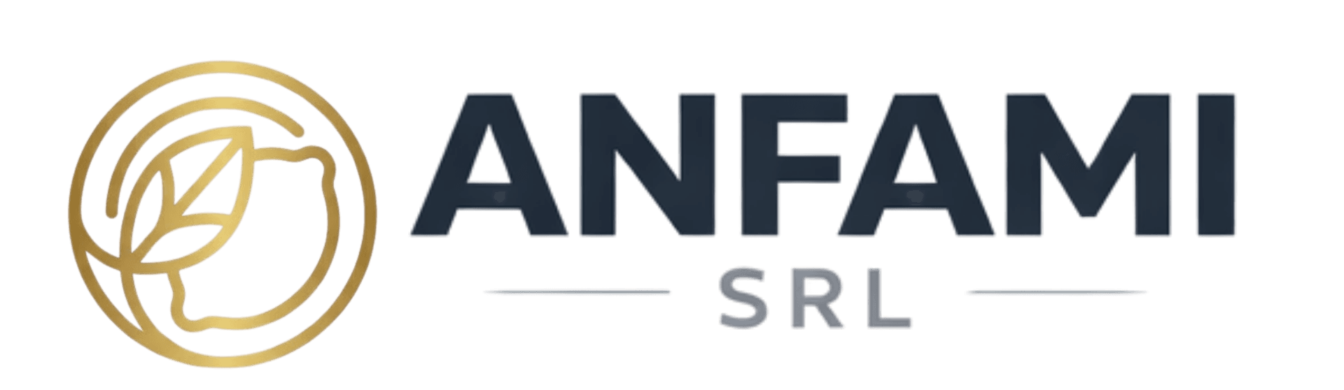 ANFAMI SRL Logo