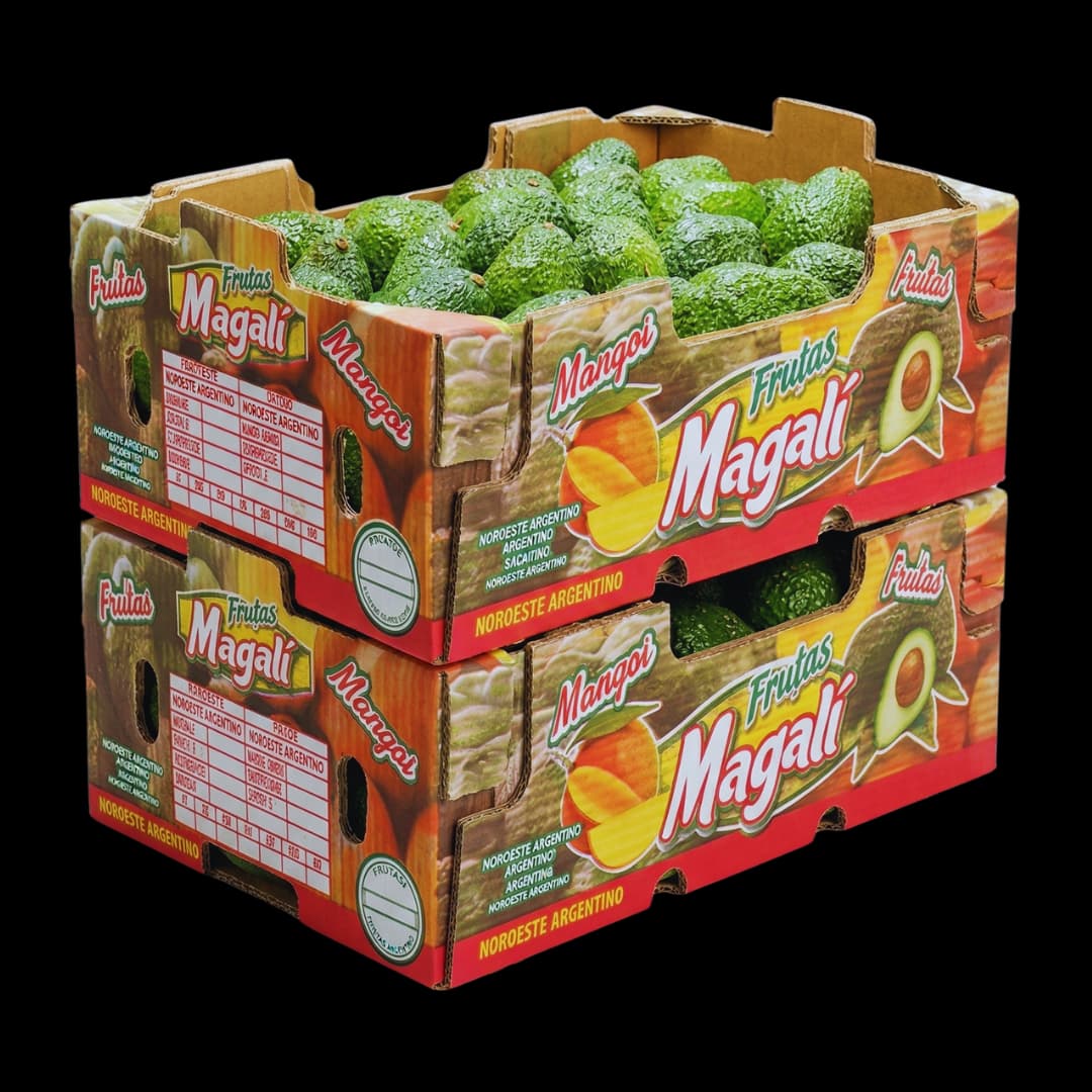 Palta Hass