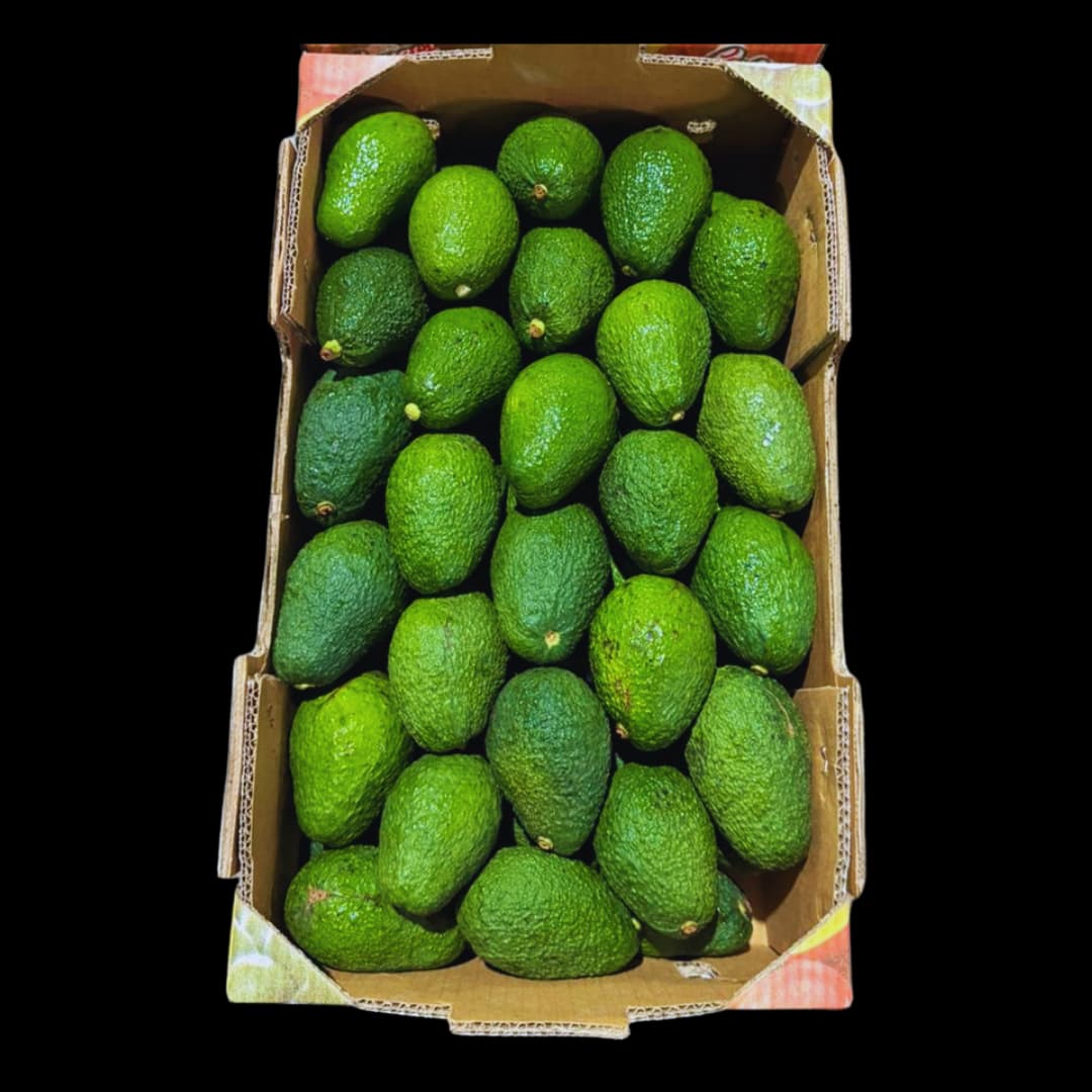 Palta Hass alternativo