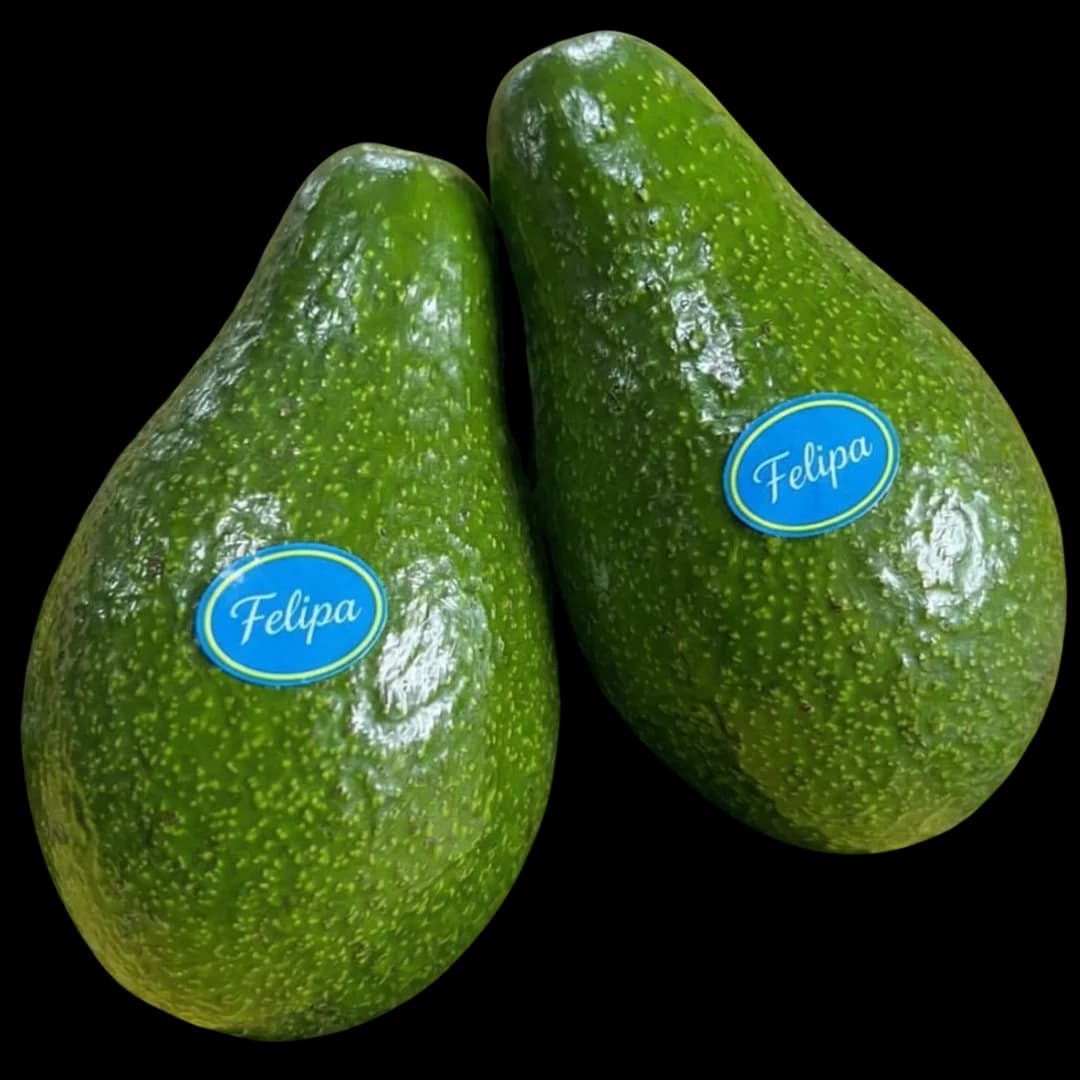 Palta Fuerte alternativo