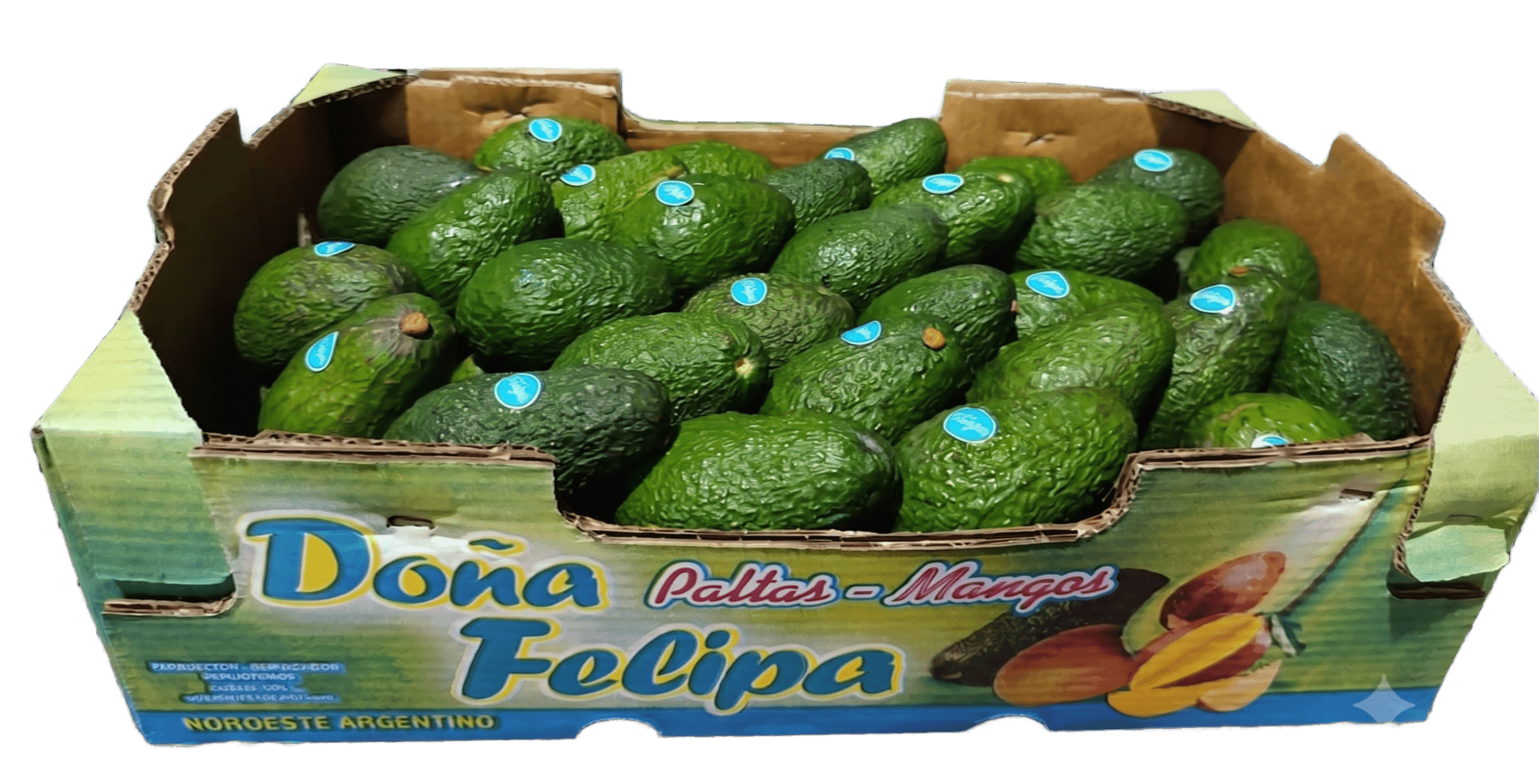 Palta Hass Felipa