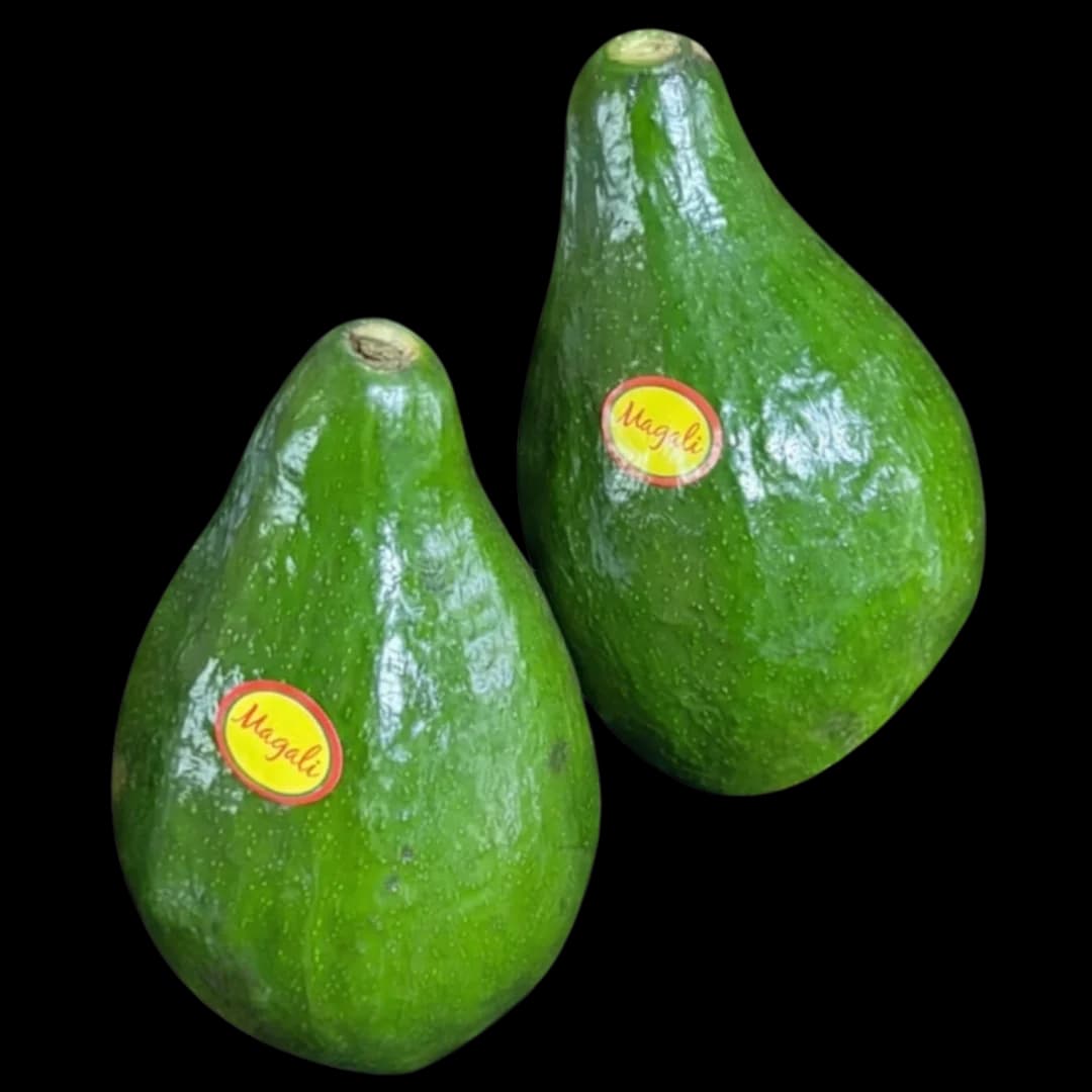 Palta Premium alternativo